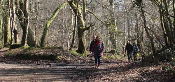 Photograph of Walking Route - Image 14