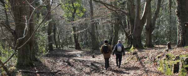 Photograph of Walking Route - Image 15