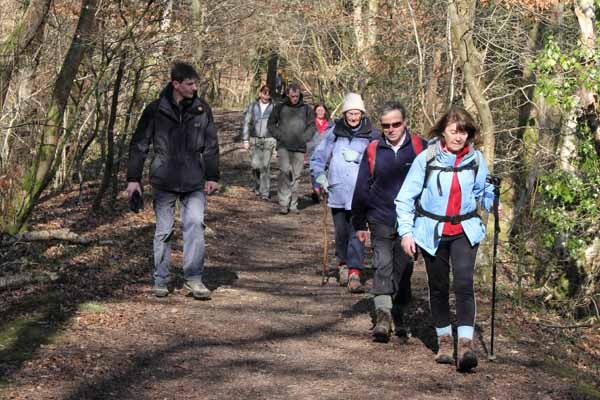 Photograph of Walking Route - Image 18