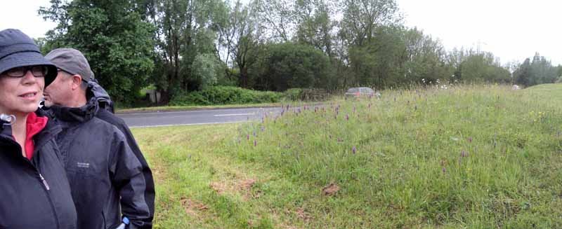 Photograph of Walking Route - Image 11