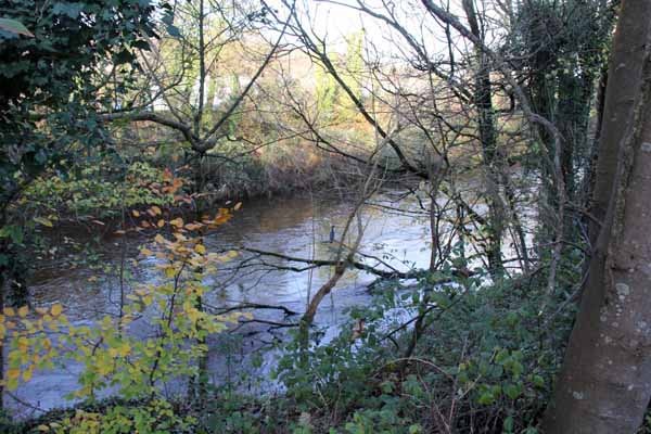 Photograph of Walking Route - Image 3