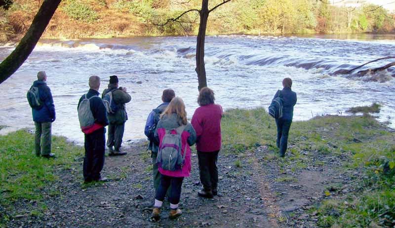 Photograph of Walking Route - Image 8