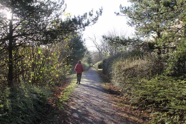Photograph of Walking Route - Image 15