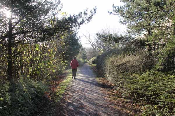 Photograph of Walking Route - Image 15