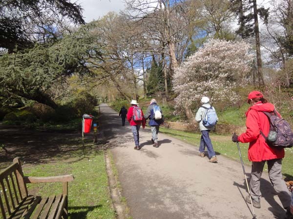 Photograph of Walking Route - Image 4