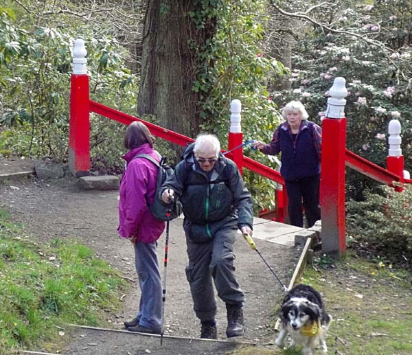 Photograph of Walking Route - Image 9