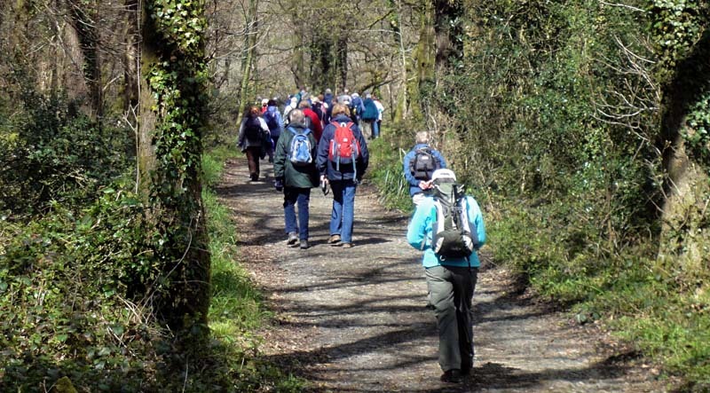 Photograph of Walking Route - Image 10