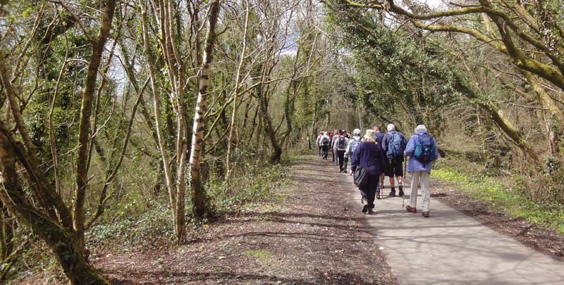 Photograph of Walking Route - Image 16