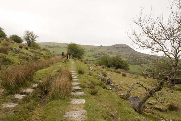 Photograph of Walking Route - Image 49