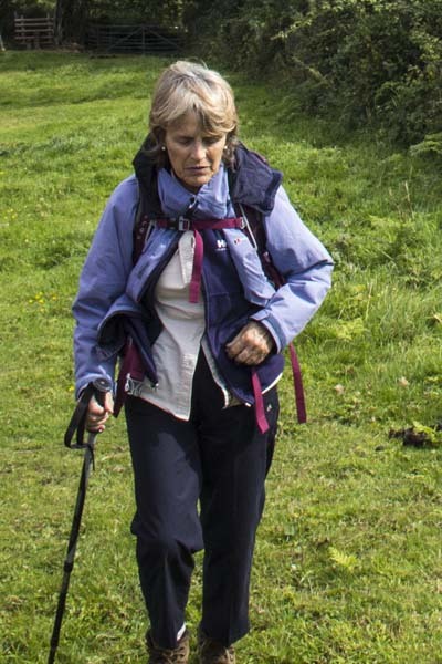 Photograph of Walking Route - Image 1