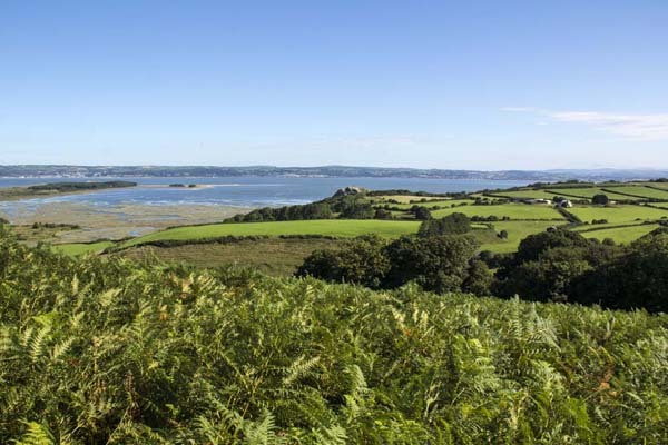 Photograph of Walking Route - Image 10