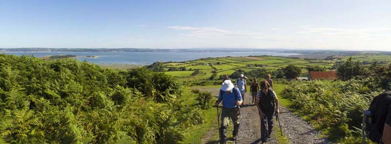 Photograph of Walking Route - Image 14