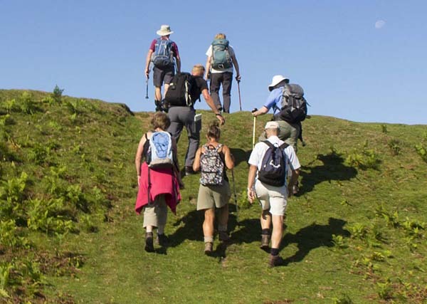 Photograph of Walking Route - Image 16