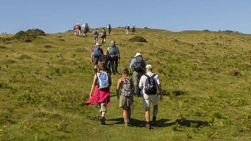 Photograph of Walking Route - Image 17