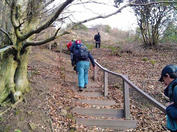 Photograph of Walking Route - Image 2