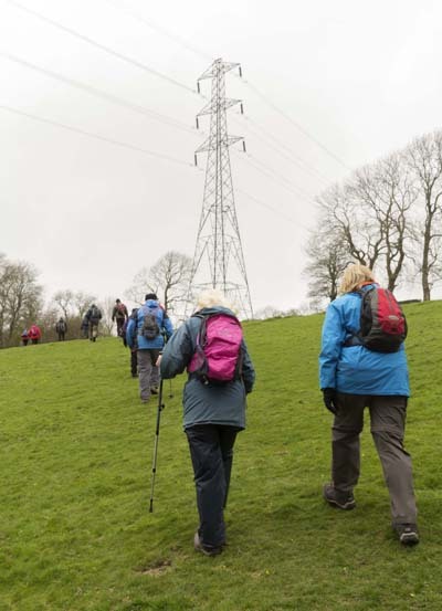 Photograph of Walking Route - Image 61