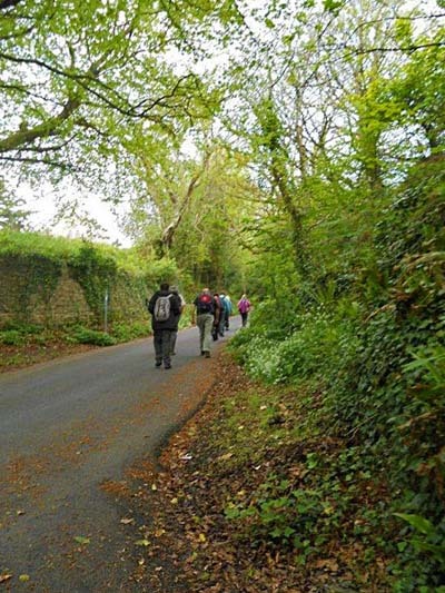 Photograph of Walking Route - Image 2