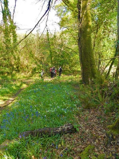 Photograph of Walking Route - Image 3