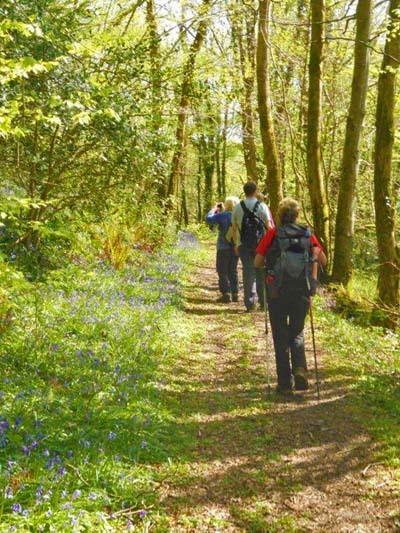 Photograph of Walking Route - Image 4