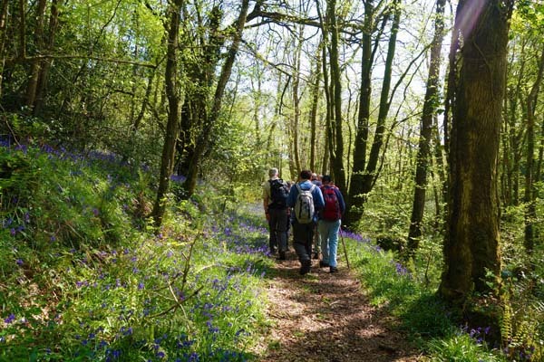 Photograph of Walking Route - Image 5