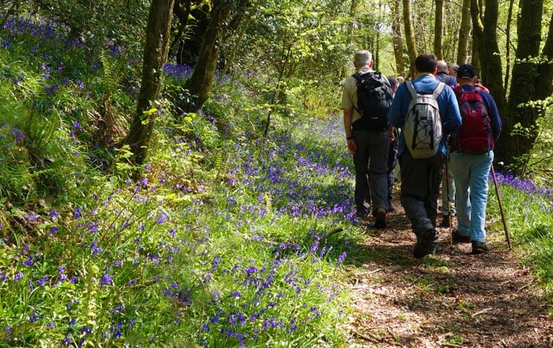 Photograph of Walking Route - Image 6