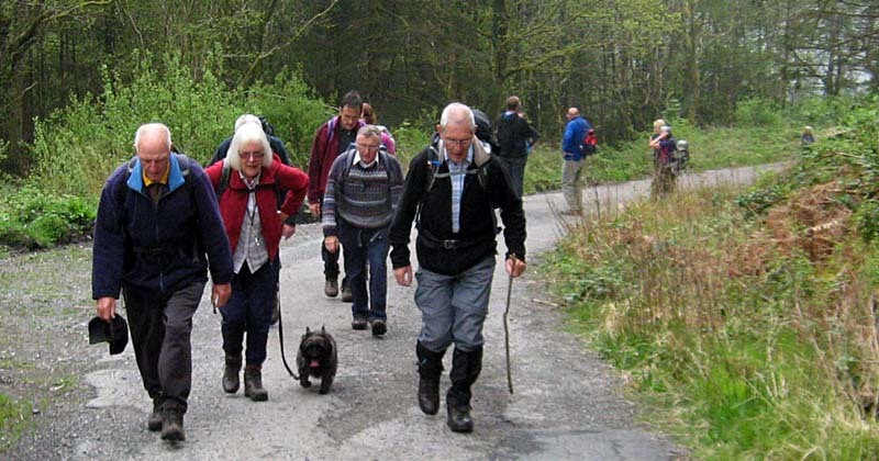 Photograph of Walking Route - Image 3