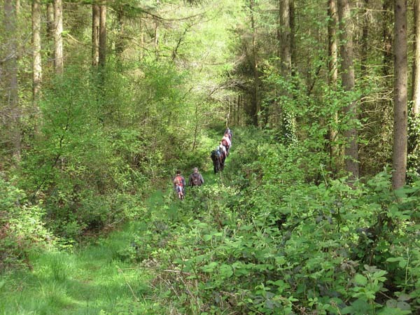 Photograph of Walking Route - Image 10