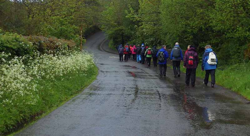 Photograph of Walking Route - Image 7