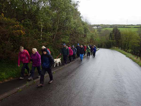 Photograph of Walking Route - Image 8