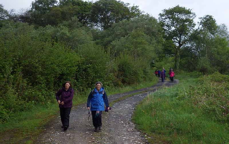 Photograph of Walking Route - Image 13