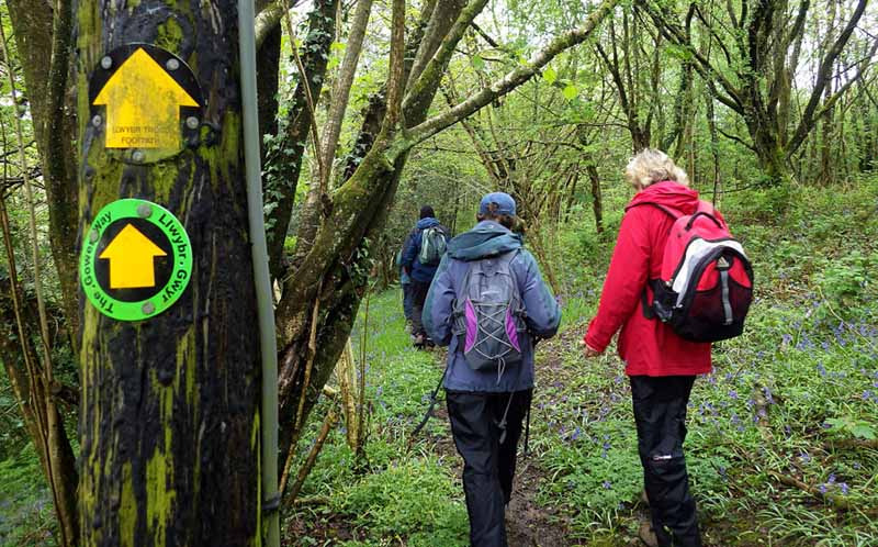 Photograph of Walking Route - Image 14