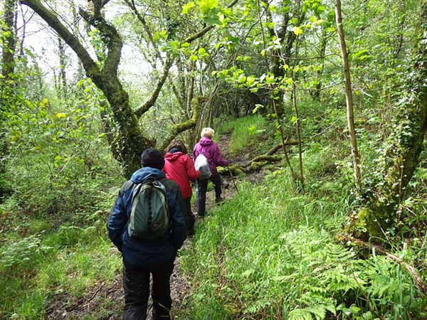 Photograph of Walking Route - Image 15