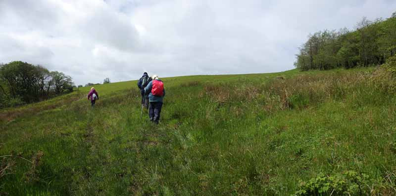 Photograph of Walking Route - Image 16