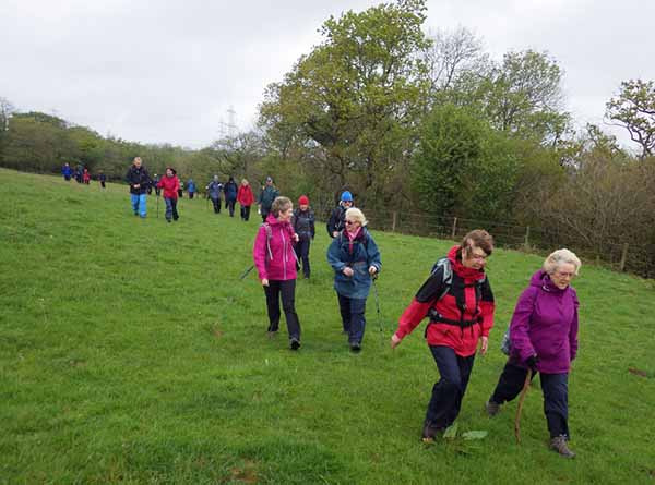 Photograph of Walking Route - Image 17