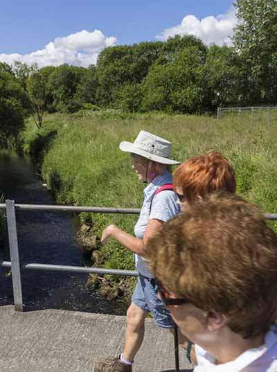 Photograph of Walking Route - Image 6