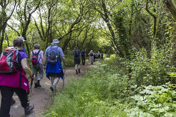 Photograph of Walking Route - Image 8