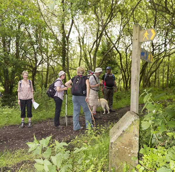 Photograph of Walking Route - Image 20