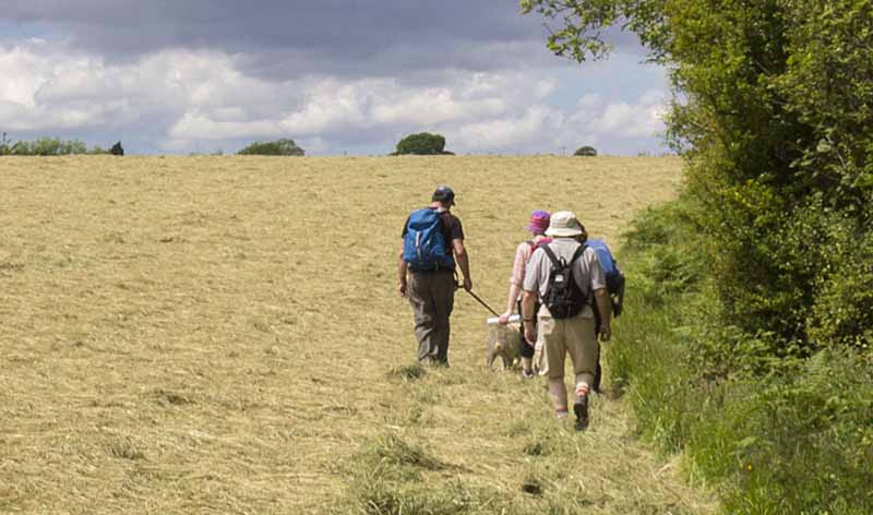 Photograph of Walking Route - Image 23