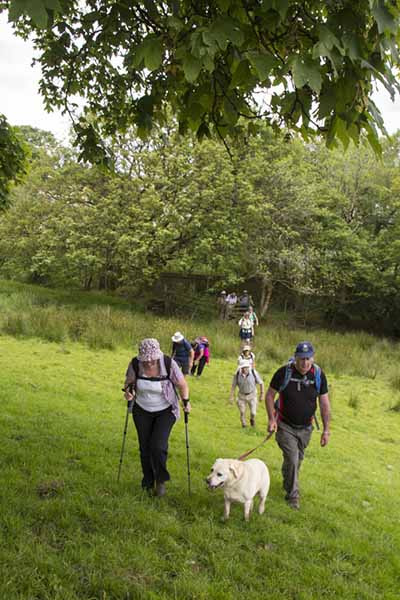 Photograph of Walking Route - Image 24