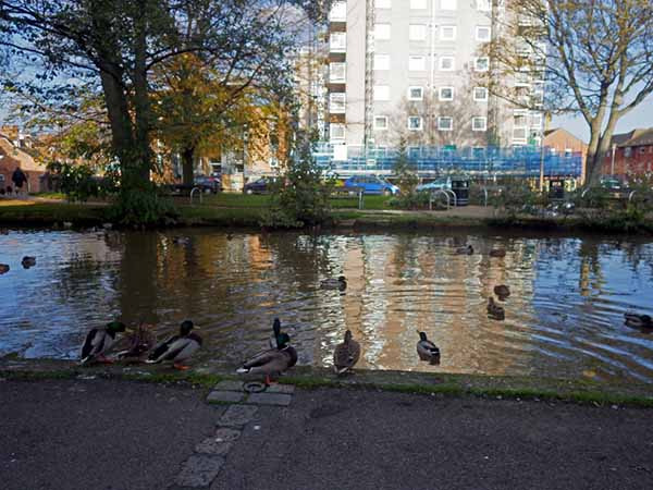 Photograph of Walking Route - Image 4