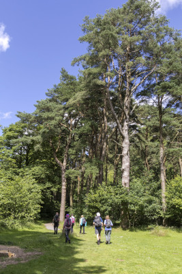Photograph of Walking Route - Image 65