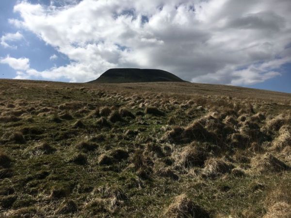 Photograph of Walking Route - Image 6