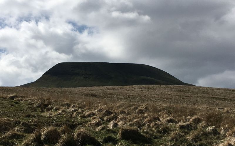 Photograph of Walking Route - Image 7