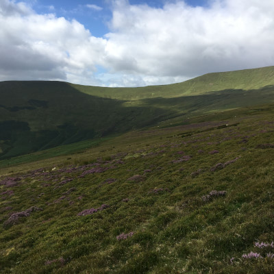 Photograph of Walking Route - Image 8