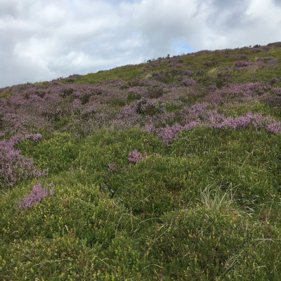 Photograph of Walking Route - Image 10