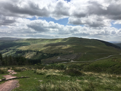 Photograph of Walking Route - Image 15