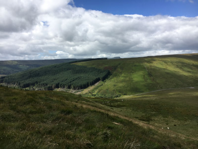 Photograph of Walking Route - Image 16