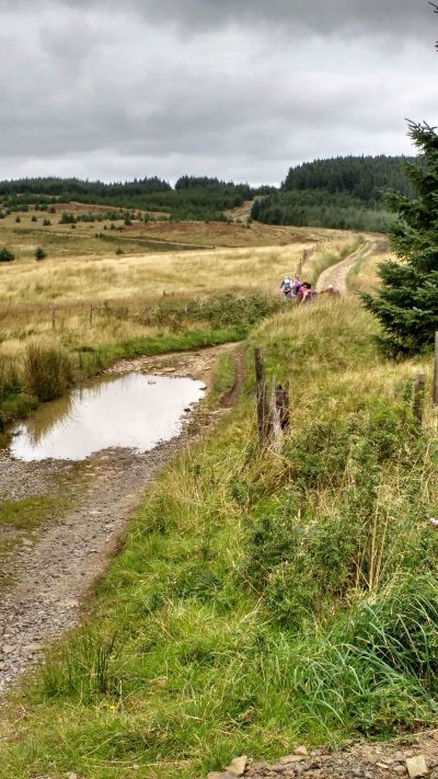 Photograph of Walking Route - Image 2