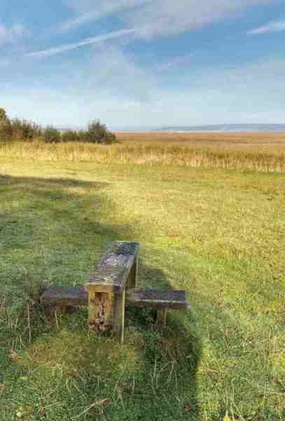 Photograph of Walking Route - Image 8