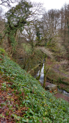 Photograph of Walking Route - Image 13